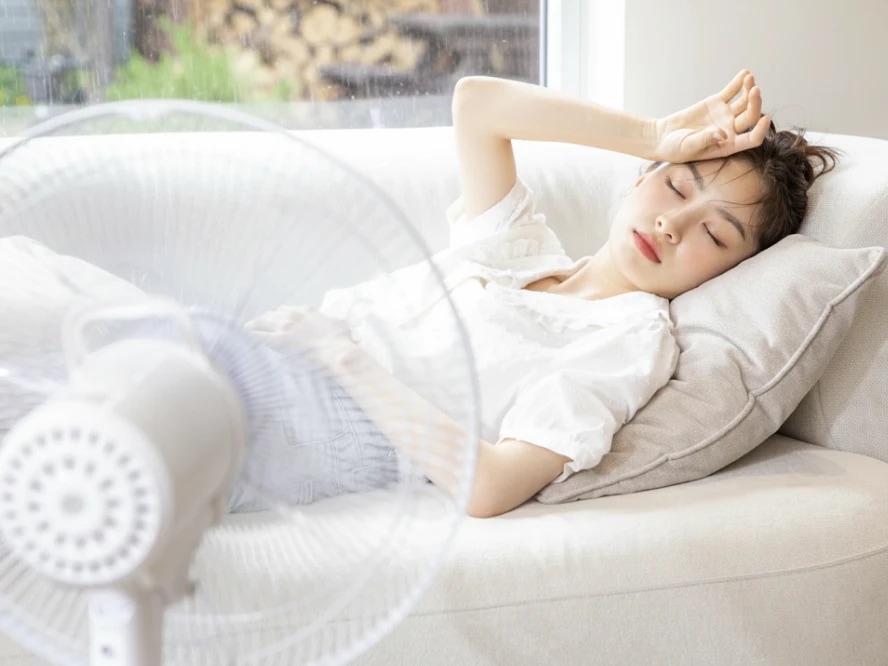 벌써 여름인 거 안 믿기는 사람 손?! 장마철 실내 습기 관리하는 방법 총정리